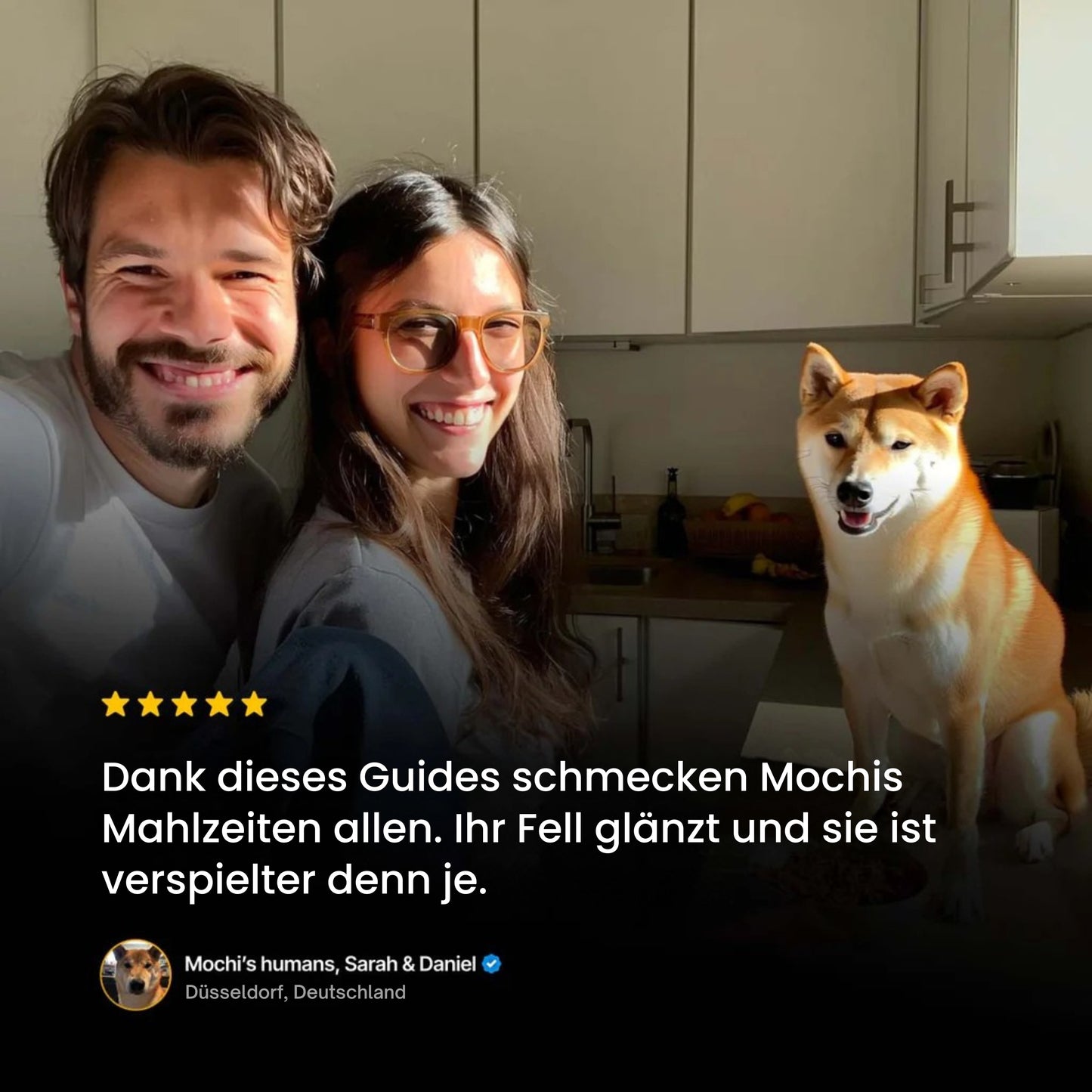 Healthy Dog Kochbuch